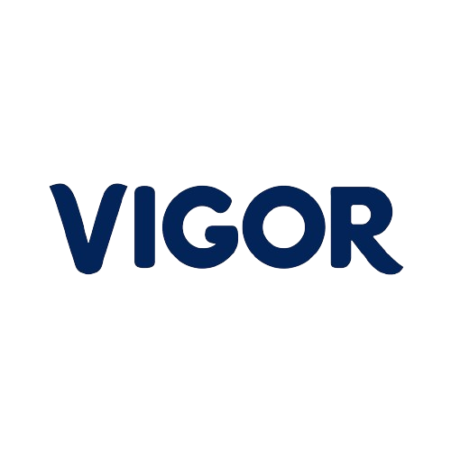 Logo Vigor